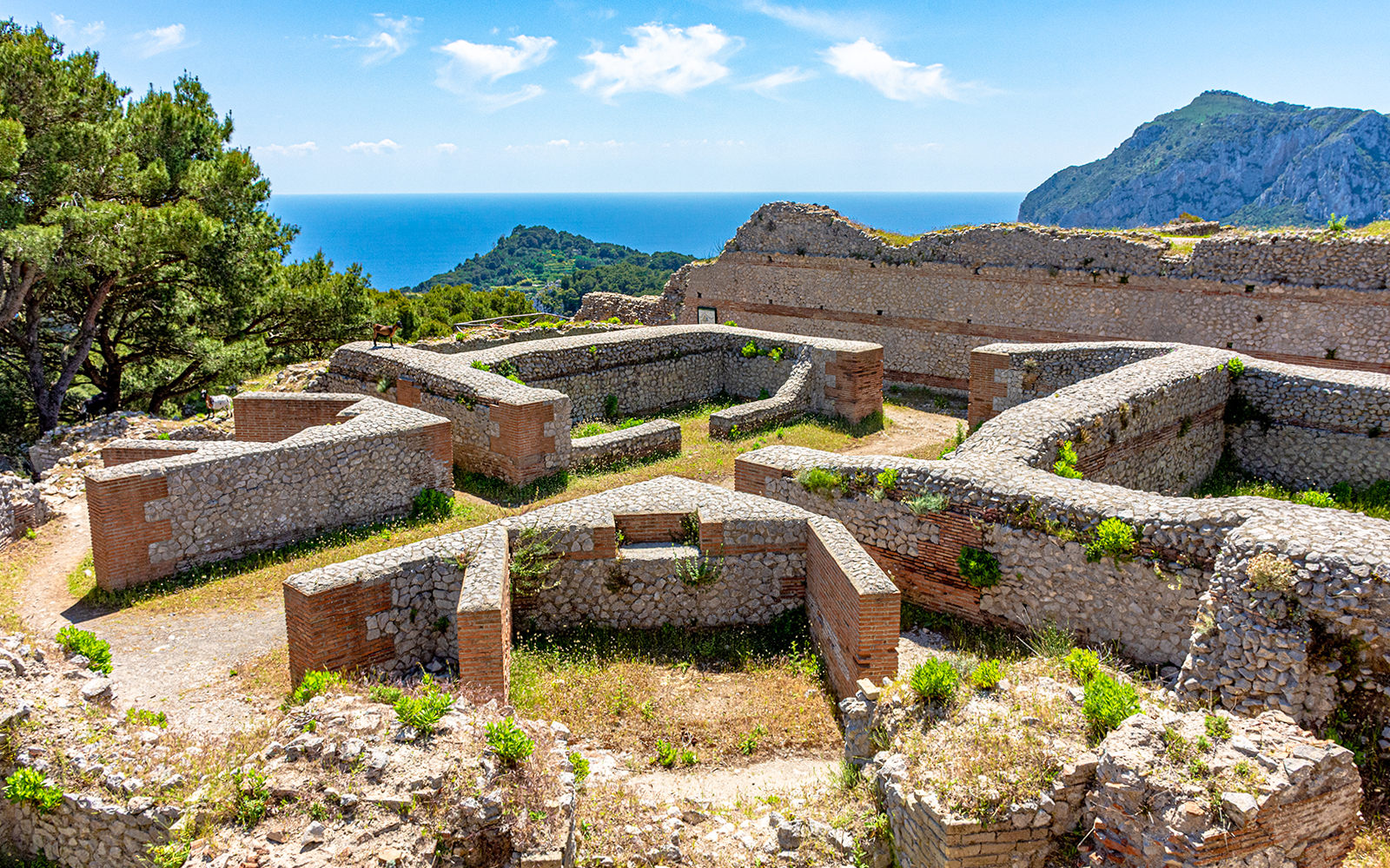 Complex Canal System