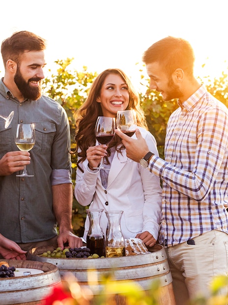 Group enjoying wine tasting in a Saint-Émilion vineyard at sunset.