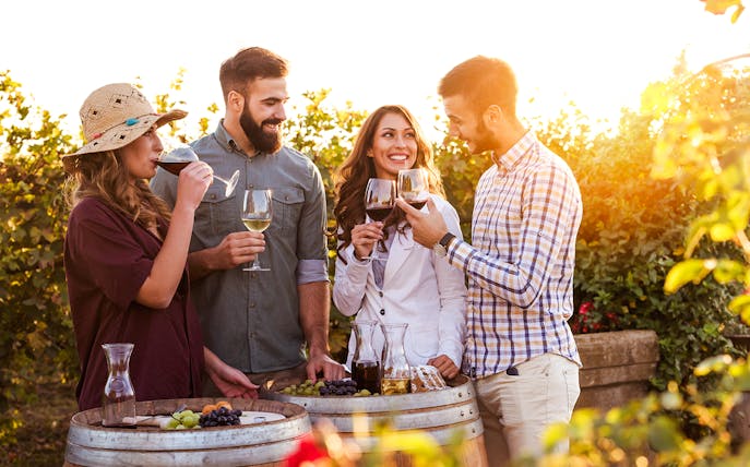 Group enjoying wine tasting in a Saint-Émilion vineyard at sunset.