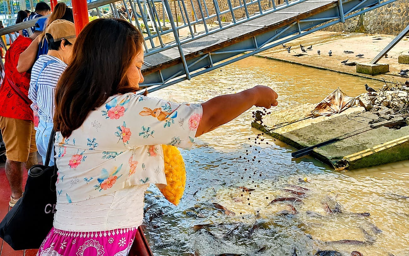 bangkok: ayutthaya temples, thai traditions & local life-3