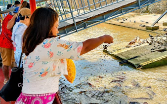 bangkok: ayutthaya temples, thai traditions & local life-3