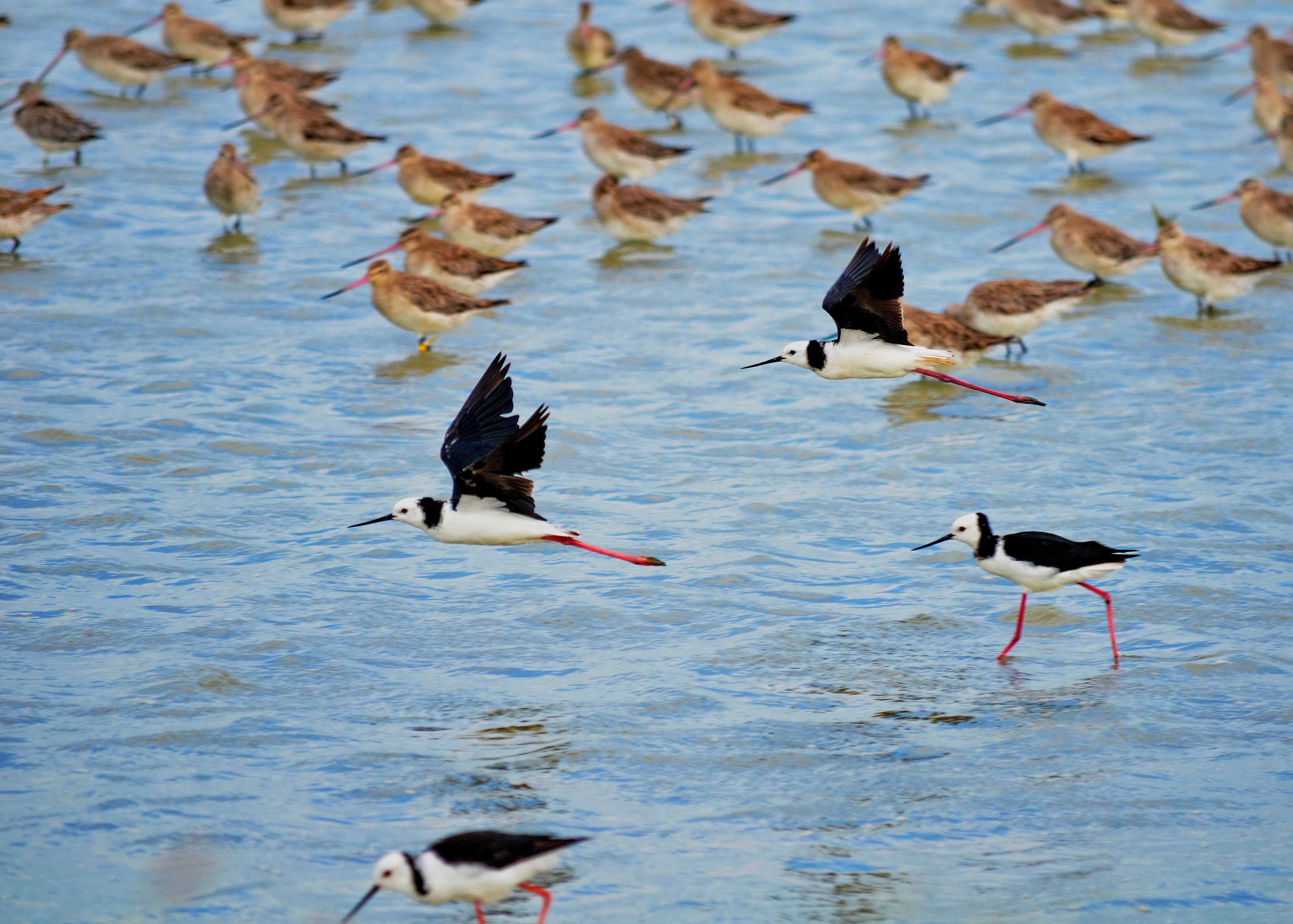 Day Trips from Auckland