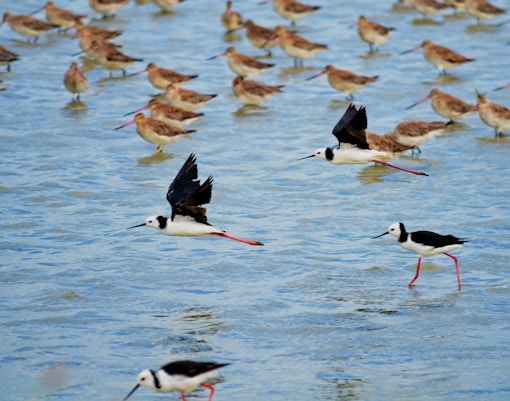 Day Trips from Auckland