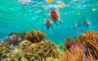 3 gizli cenote ve puerto morelos resifi rehberli şnorkel turu-5