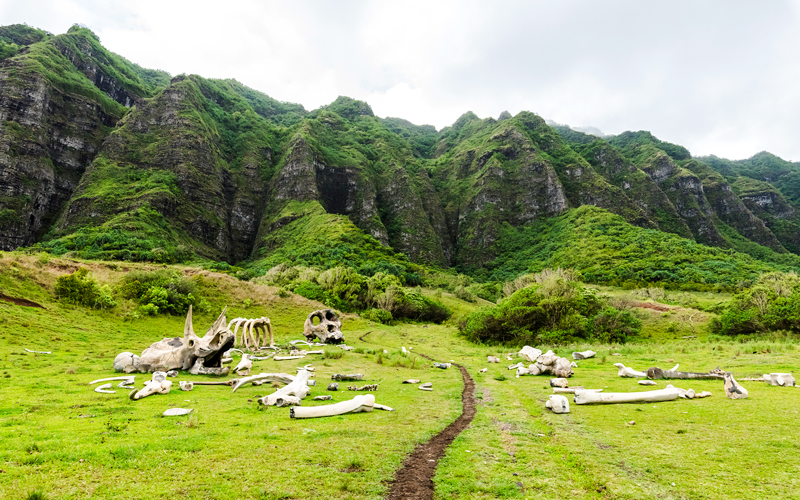 Dinosaur bones on grassy field at Kualoa Ranch, Oahu, Hawaii with lush mountains in background.