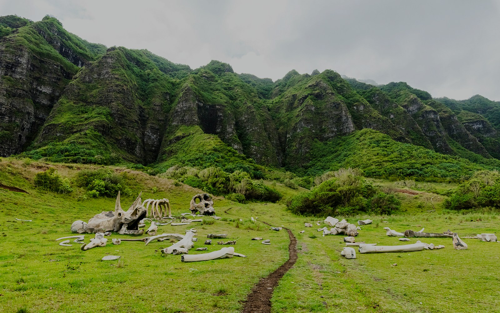 Expedition trail from Kong: Skull Island