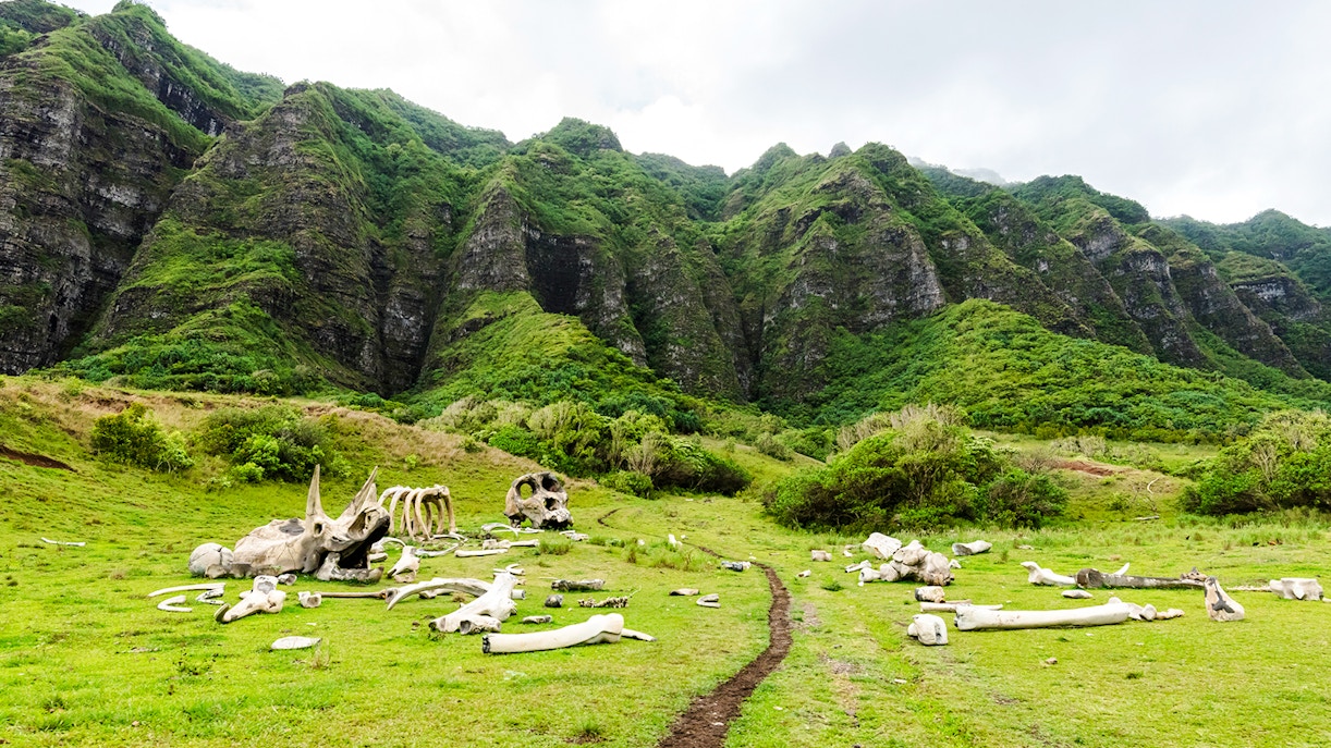 Dinosaur bones on grassy field at Kualoa Ranch, Oahu, Hawaii with lush mountains in background.