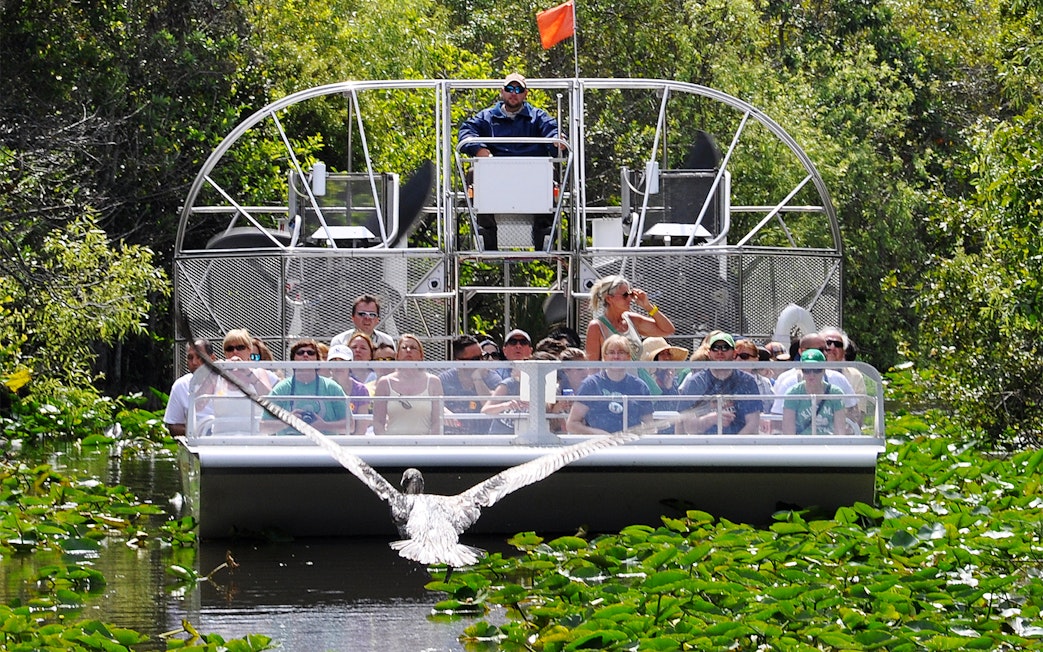 Group on airboat tour in Everglades, Miami, with bird flying over water.
