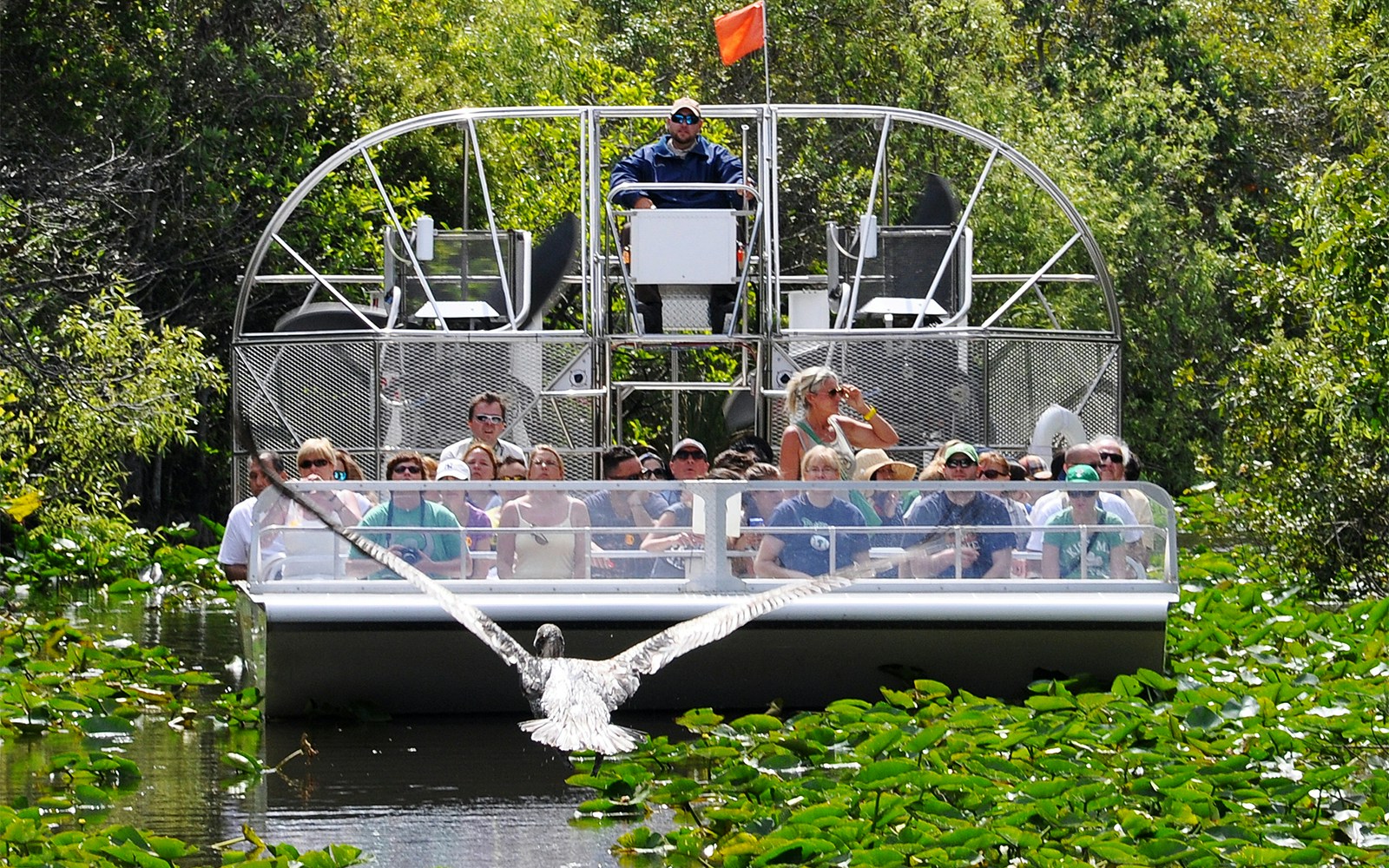 Group of people on an airboat tour in the Everglades, Miami, surrounded by lush greenery.