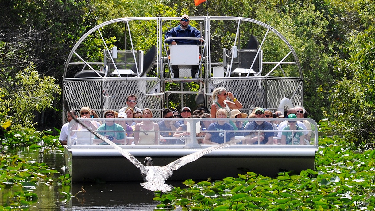 Group of people on Everglades tour in Miami