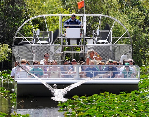 Group on airboat tour in Everglades, Miami, with bird flying over water.