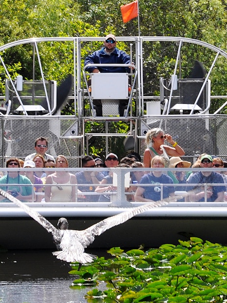 Group on airboat tour in Everglades, Miami, with bird flying over water.