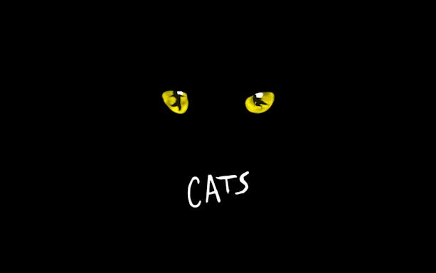 Yellow cat eyes and 'CATS' text, Sydney show promotion.