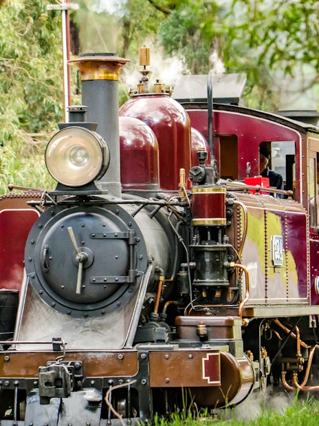 Puffing Billy steam train with crew member in Melbourne forest.