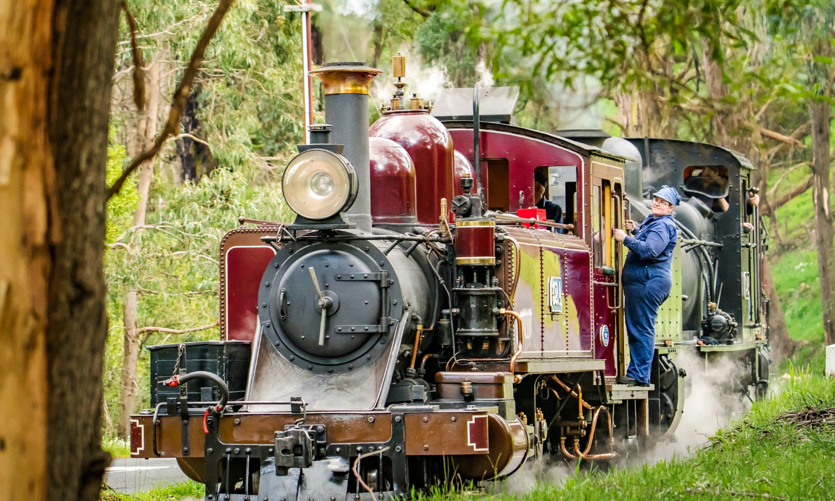 Puffing Billy steam train with crew member in Melbourne forest.