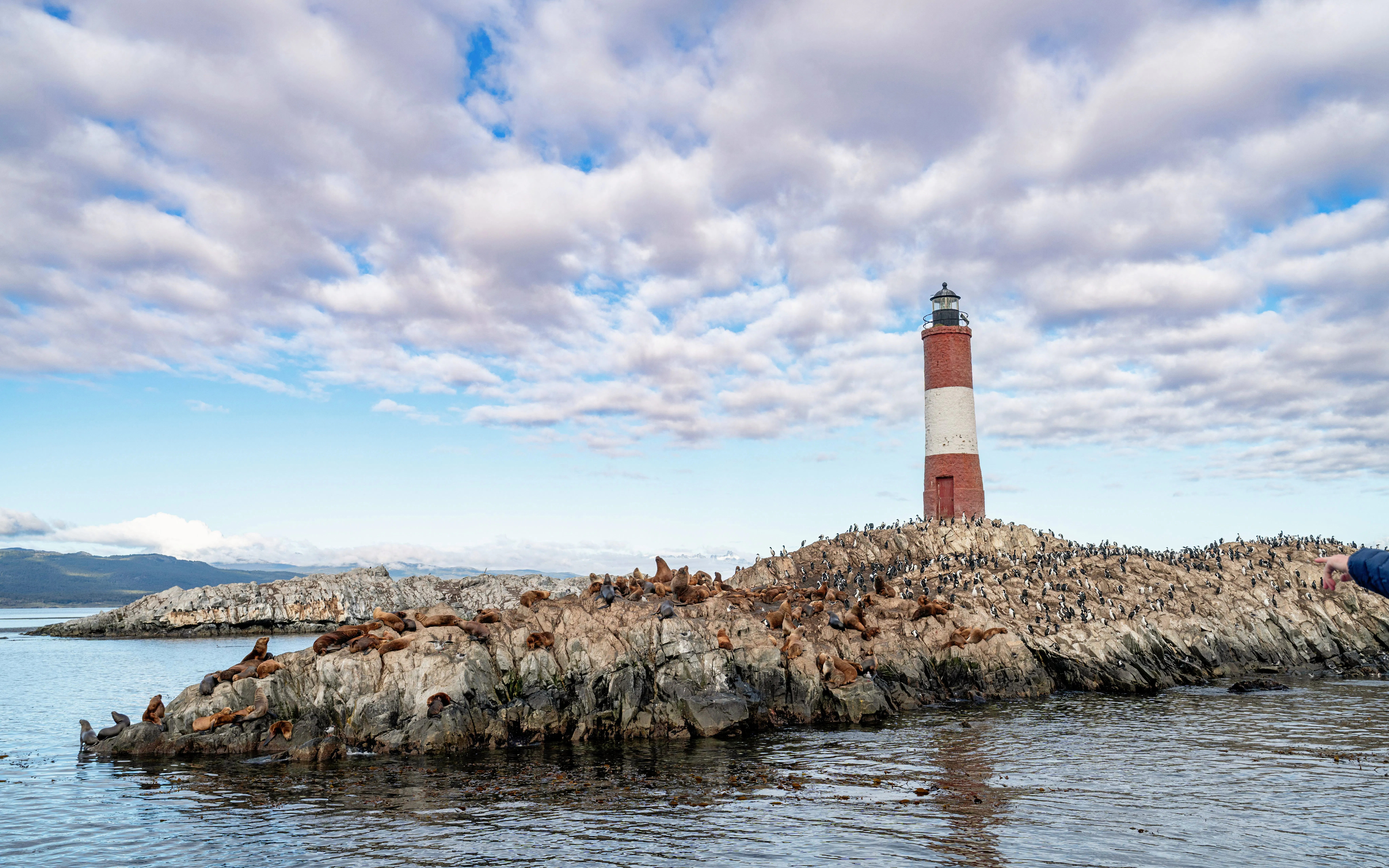 Sea lions resting on rocks near a lighthouse on Martillo Island, Beagle Channel, Ushuaia, Argentina.