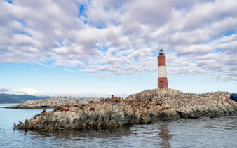 Sea lions resting on rocks near a lighthouse on Martillo Island, Beagle Channel, Ushuaia, Argentina.