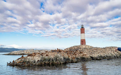Sea lions resting on rocks near a lighthouse on Martillo Island, Beagle Channel, Ushuaia, Argentina.