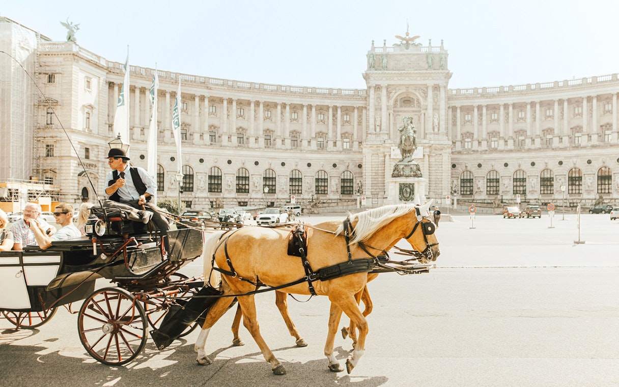 Horsedrawn carriage in front of Hofburg Palace, Vienna, en route to Vienna Music Society.