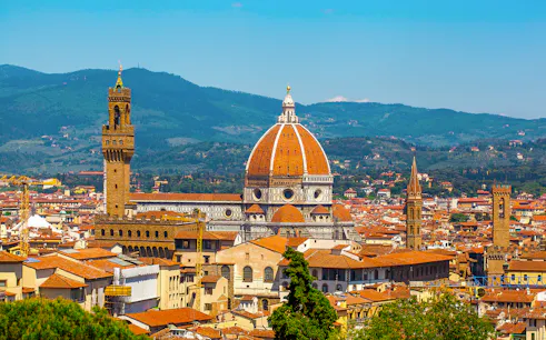 Florence skyline featuring the Duomo and Palazzo Vecchio on a walking tour.