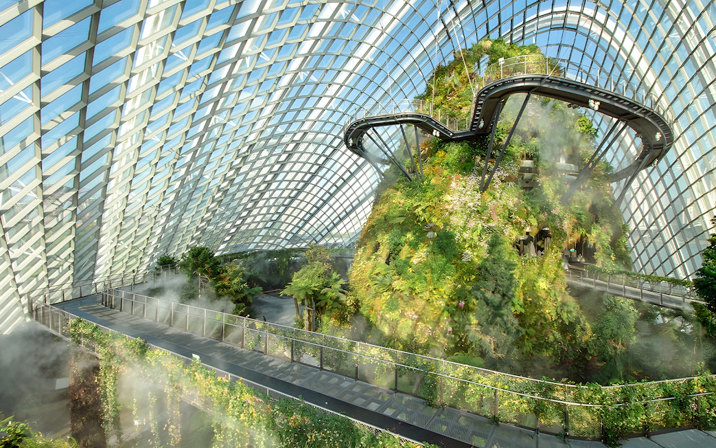 Supertree Observatory and Flower Dome interior with lush greenery and elevated walkway, Singapore.