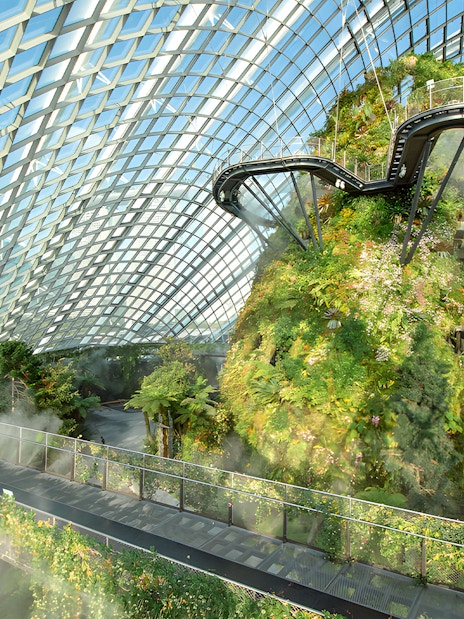 Supertree Observatory and Flower Dome interior with lush greenery and elevated walkway, Singapore.