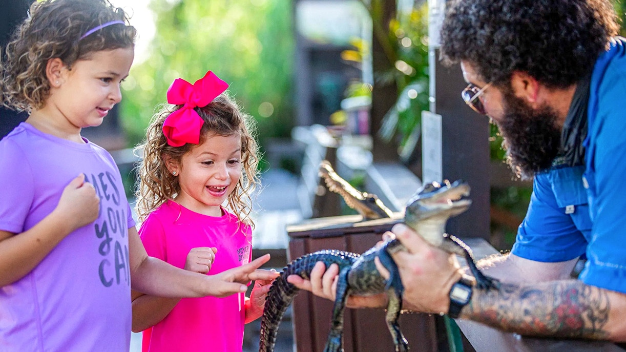 Children interacting with a baby alligator at Everglades reptile exhibit.