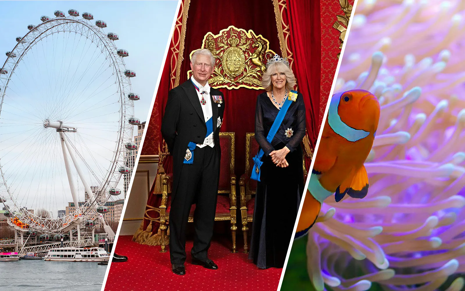 Combo (Save 43%): London Eye + Madame Tussauds London + SEA LIFE London Aquarium Tickets
