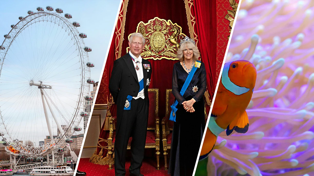 London Eye, wax figures at Madame Tussauds London, clown fish at SEA LIFE London.