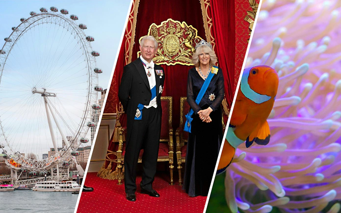 London Eye, wax figures at Madame Tussauds London, clown fish at SEA LIFE London.