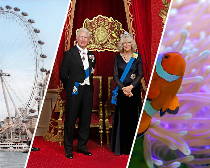 Combo (Save 43%): London Eye + Madame Tussauds London + SEA LIFE London Aquarium Tickets (Product 52952)