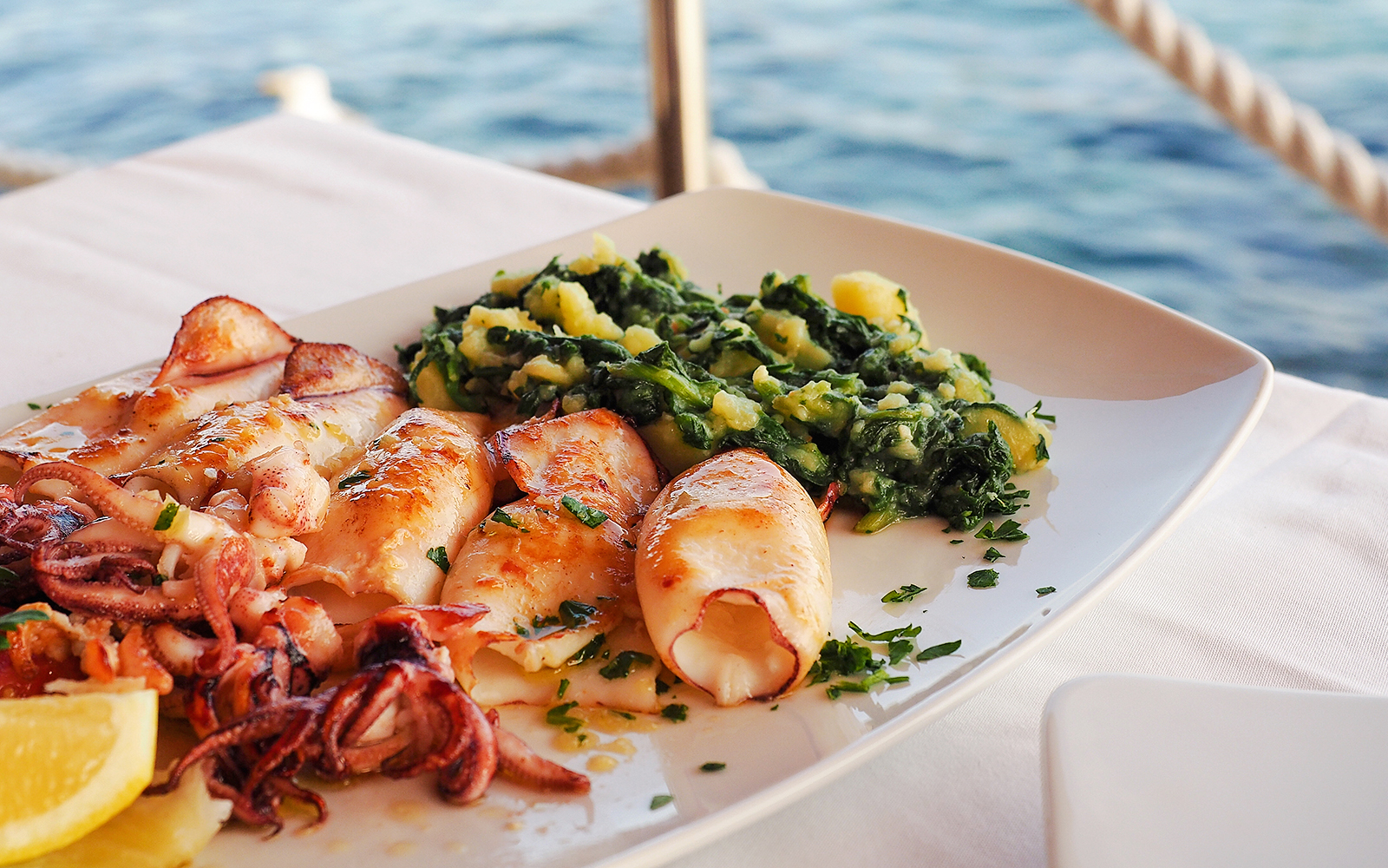 Grilled squid with greens served on a boat tour in Blue Lagoon, Duga Bay, Trogir.