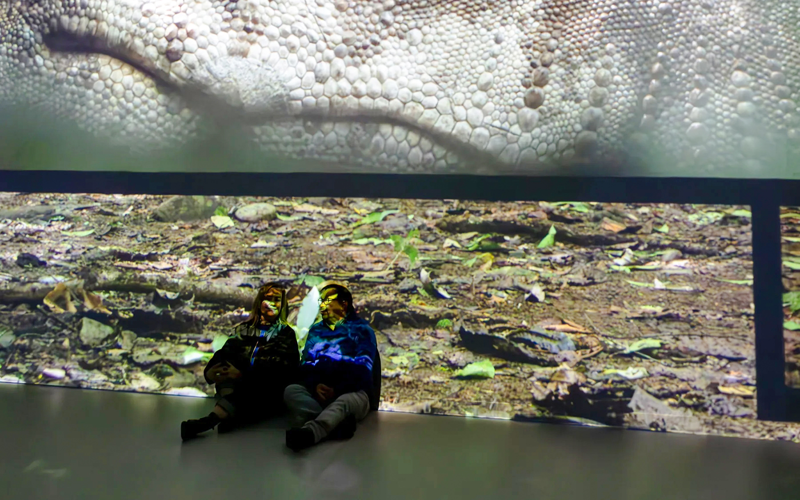 Guests viewing dinosaur projections at Phoenix des Lumières Dortmund exhibition.