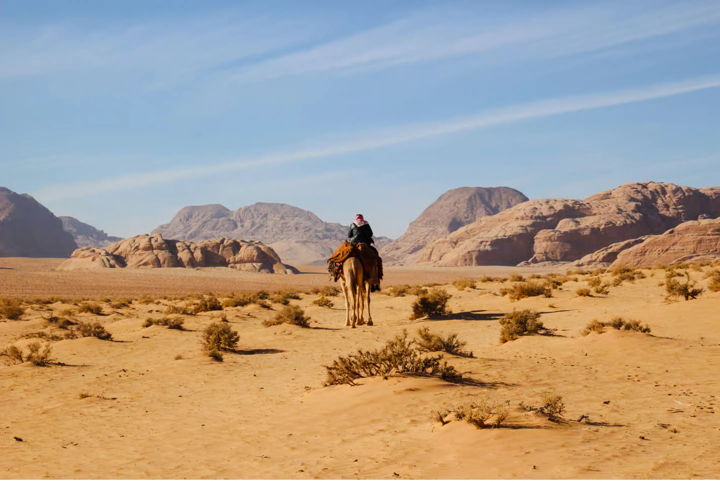 wadi rum: rehberli deve binme turu, bedevi çayı ve 4x4 araçla çöl transferi-1