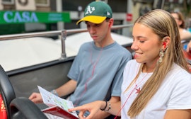 Consejo Superior de Investigaciones Científicas