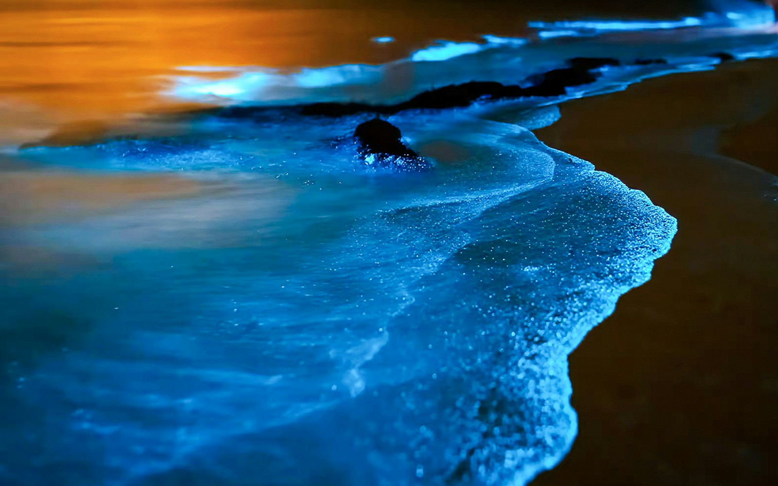 Bioluminescent waves glowing at night on a beach.