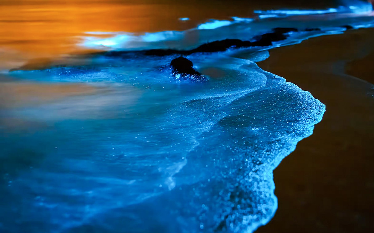 Bioluminescent waves glowing on a beach at night.