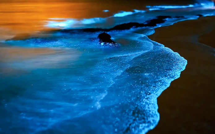 Bioluminescent waves glowing on a beach at night.