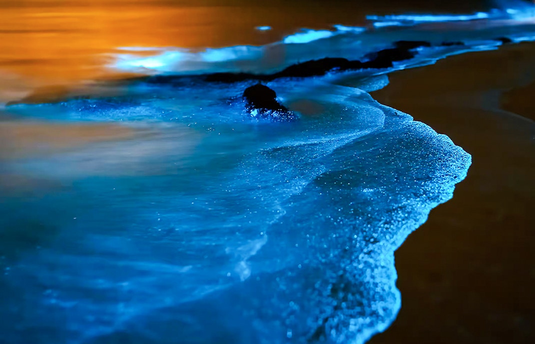 Bioluminescent waves glowing on a beach at night.