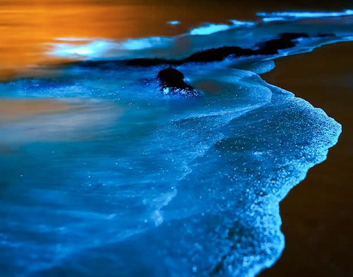 Bioluminescent waves glowing on a beach at night.