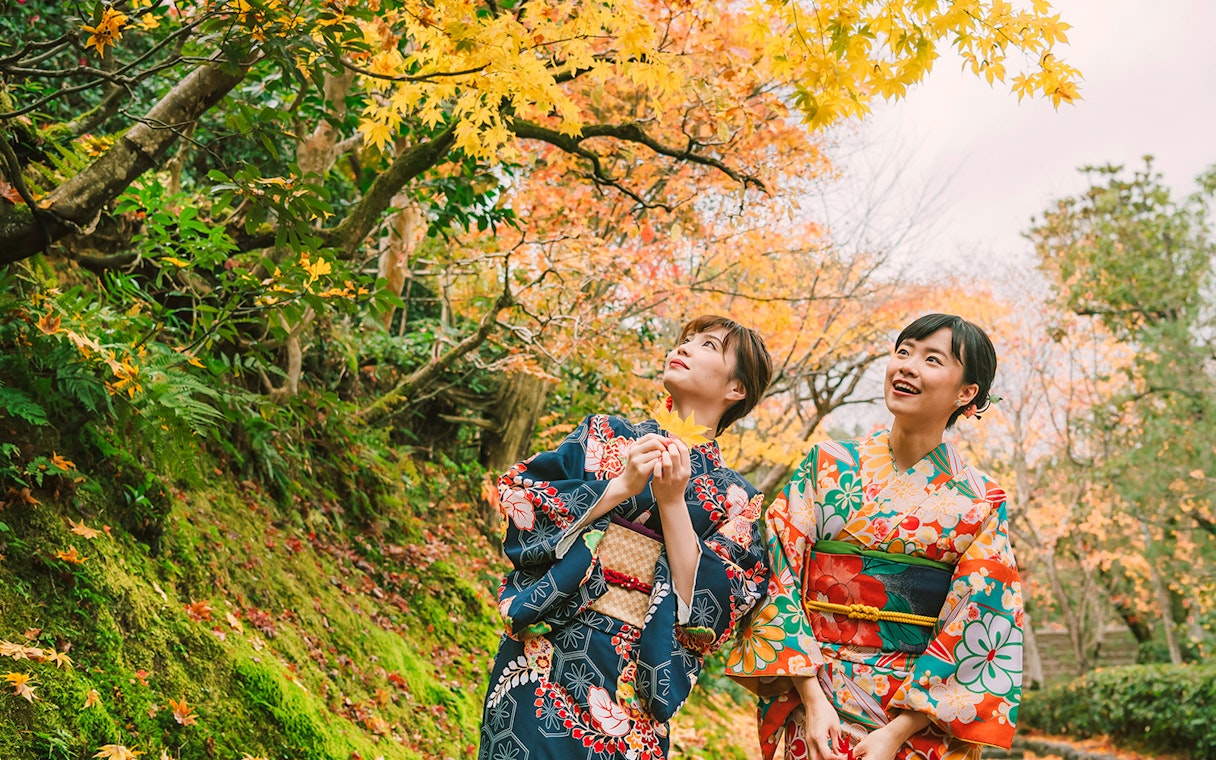 Women in kimonos enjoying autumn foliage in Gion, Kyoto.