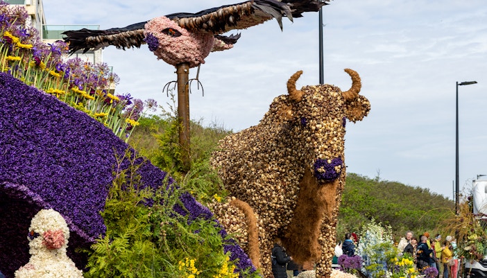 Flower-covered floats in the annual spring parade from Noordwijk to Haarlem, Netherlands.
