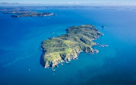 Tiritiri Matangi Island