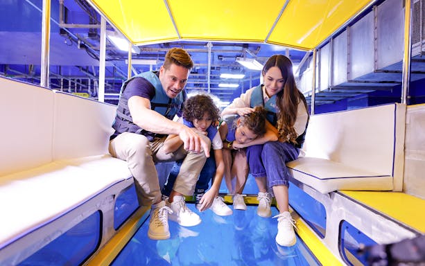 Family observing manta rays through glass-bottom boat at Dubai aquarium.