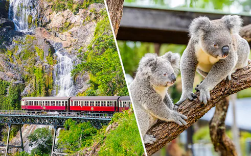 Train crossing a bridge near a waterfall and two koalas on a tree branch in a zoo.