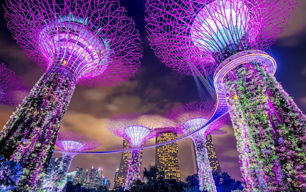 Supertree Grove illuminated at night, Gardens by the Bay, Singapore.
