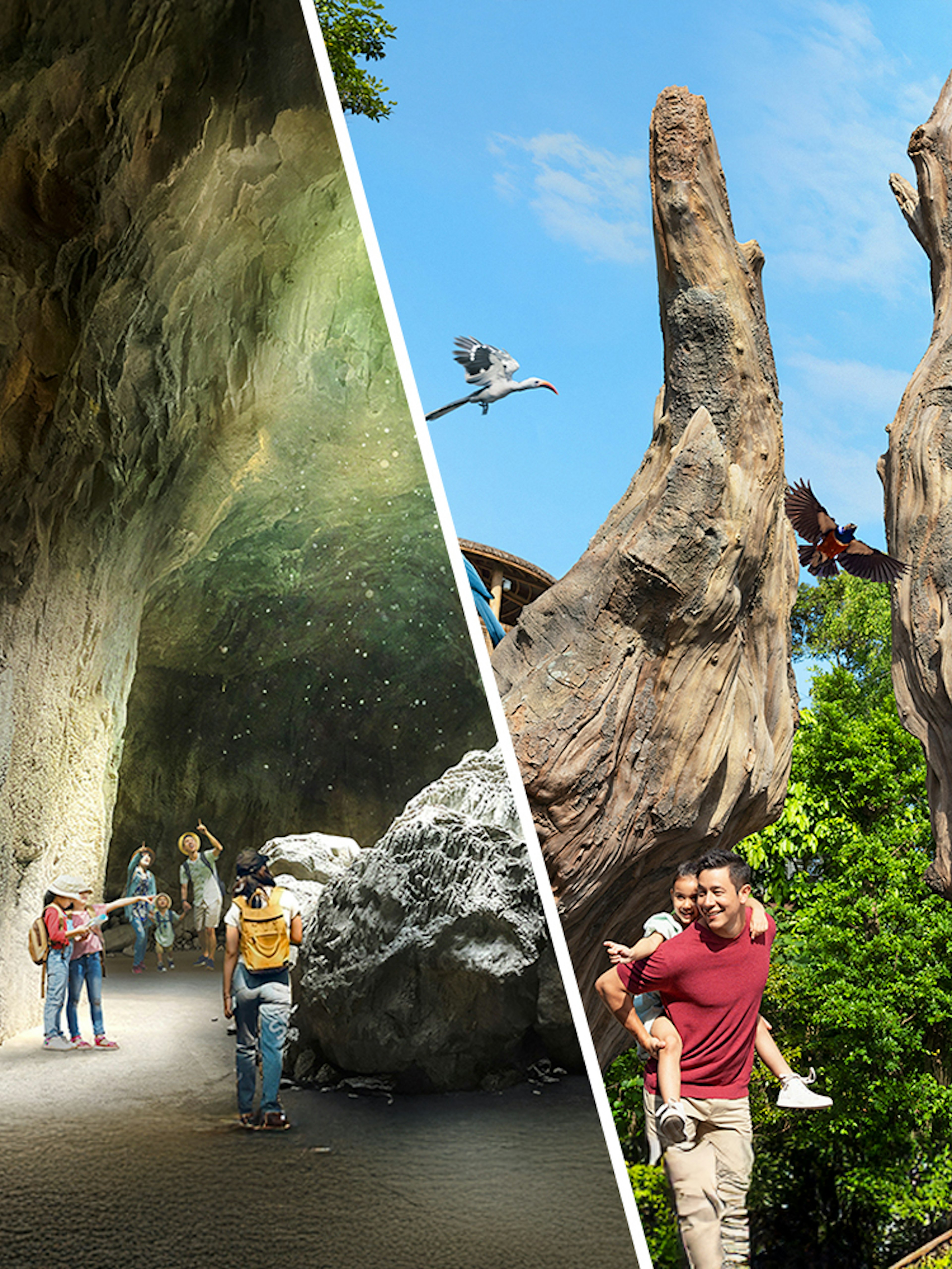 Visitors exploring a cave and enjoying birdwatching at Rainforest Wild ASIA and Bird Paradise.