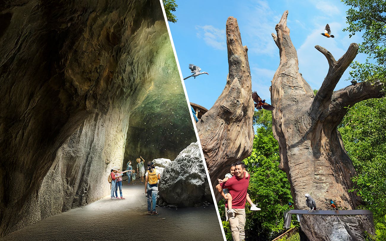 Visitors exploring a cave and enjoying birdwatching at Rainforest Wild ASIA and Bird Paradise.