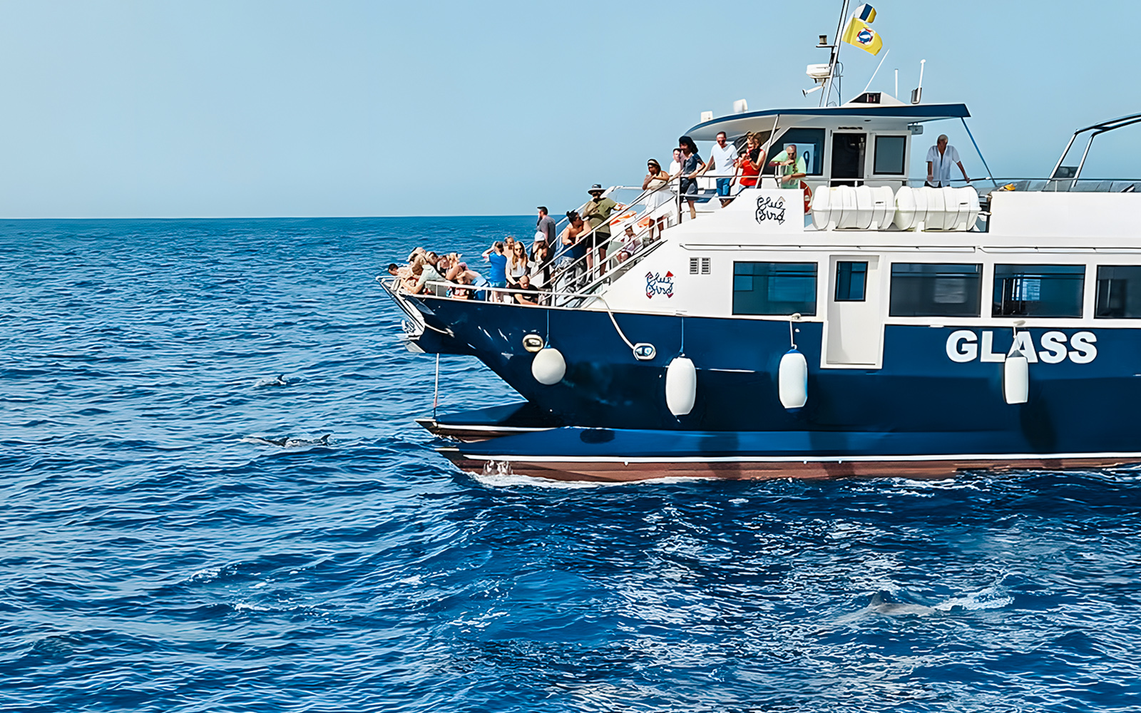 Tourists on a Gran Canaria cruise boat watching dolphins in the ocean.