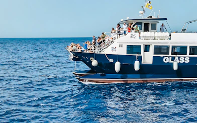 Tourists on a Gran Canaria cruise boat watching dolphins in the ocean.